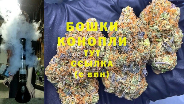 ешки Аркадак