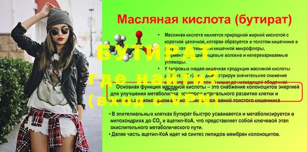 крисы Новозыбков